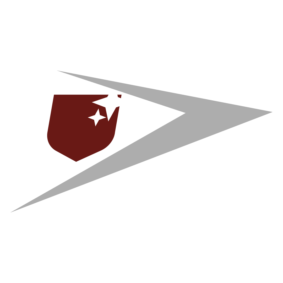 NewPetraIcons_PetraShield_ICON_052925